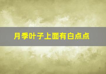 月季叶子上面有白点点