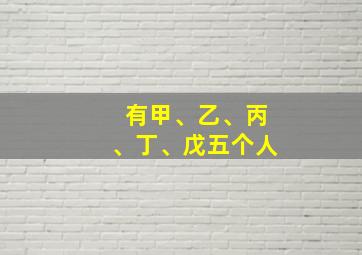 有甲、乙、丙、丁、戊五个人