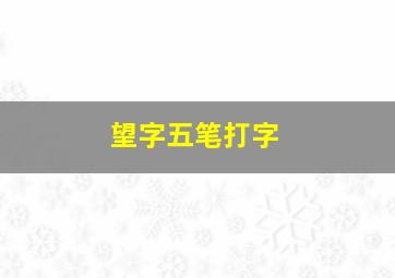 望字五笔打字