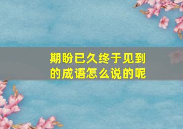 期盼已久终于见到的成语怎么说的呢