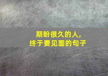 期盼很久的人,终于要见面的句子