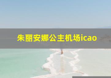 朱丽安娜公主机场icao