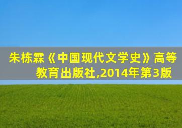 朱栋霖《中国现代文学史》高等教育出版社,2014年第3版