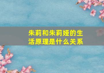 朱莉和朱莉娅的生活原理是什么关系