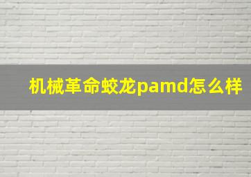 机械革命蛟龙pamd怎么样