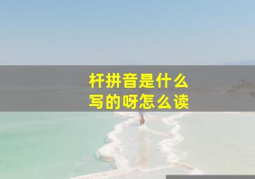 杆拼音是什么写的呀怎么读