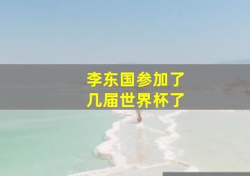 李东国参加了几届世界杯了