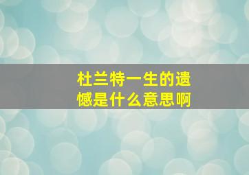 杜兰特一生的遗憾是什么意思啊