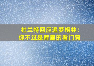 杜兰特回应追梦格林:你不过是库里的看门狗