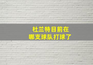 杜兰特目前在哪支球队打球了