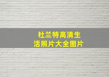 杜兰特高清生活照片大全图片