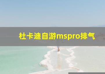 杜卡迪自游mspro排气