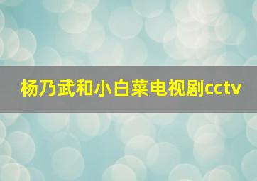 杨乃武和小白菜电视剧cctv