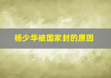 杨少华被国家封的原因