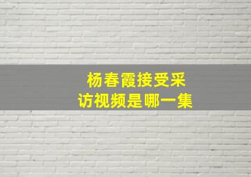 杨春霞接受采访视频是哪一集