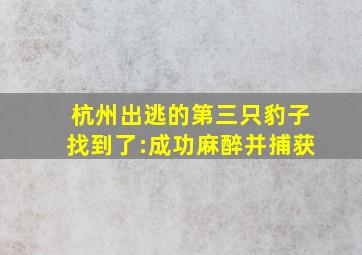 杭州出逃的第三只豹子找到了:成功麻醉并捕获