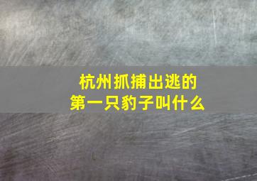 杭州抓捕出逃的第一只豹子叫什么