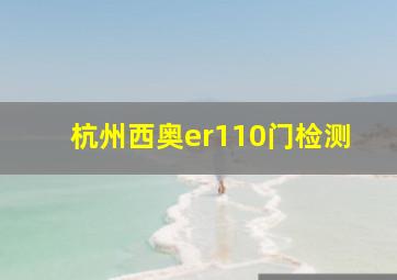 杭州西奥er110门检测