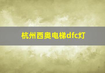 杭州西奥电梯dfc灯