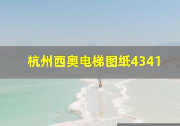 杭州西奥电梯图纸4341