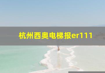 杭州西奥电梯报er111