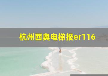 杭州西奥电梯报er116