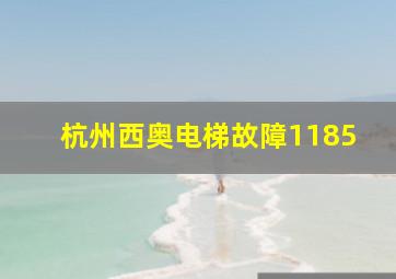 杭州西奥电梯故障1185