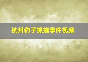 杭州豹子抓捕事件视频