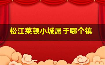 松江莱顿小城属于哪个镇