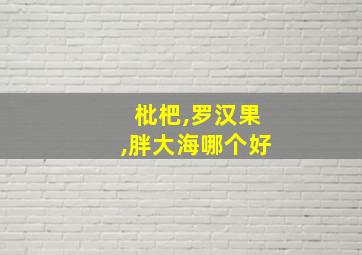 枇杷,罗汉果,胖大海哪个好