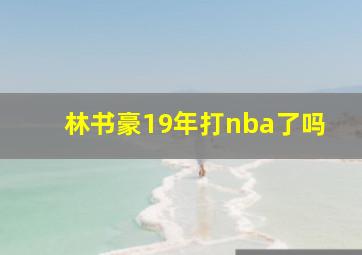 林书豪19年打nba了吗