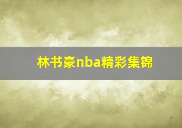 林书豪nba精彩集锦