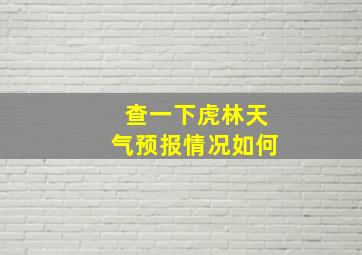 查一下虎林天气预报情况如何