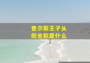 查尔斯王子头衔全称是什么