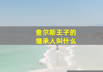 查尔斯王子的继承人叫什么