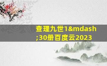 查理九世1—30册百度云2023