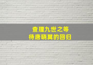 查理九世之等待唐晓翼的回归