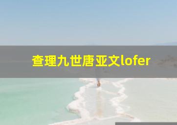 查理九世唐亚文lofer