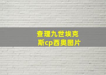 查理九世埃克斯cp西奥图片