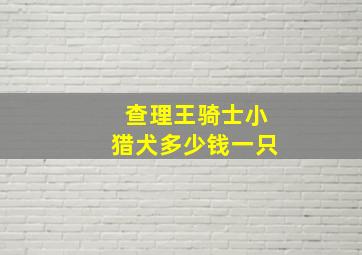 查理王骑士小猎犬多少钱一只