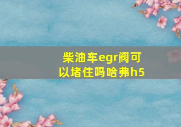 柴油车egr阀可以堵住吗哈弗h5