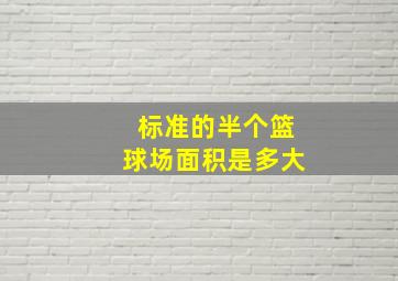 标准的半个篮球场面积是多大