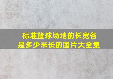 标准篮球场地的长宽各是多少米长的图片大全集