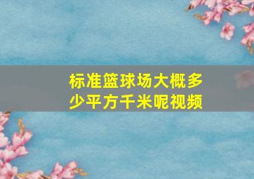 标准篮球场大概多少平方千米呢视频