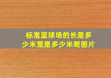 标准篮球场的长是多少米宽是多少米呢图片