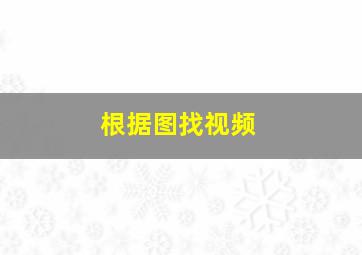 根据图找视频