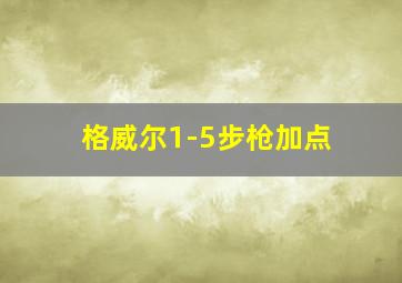 格威尔1-5步枪加点