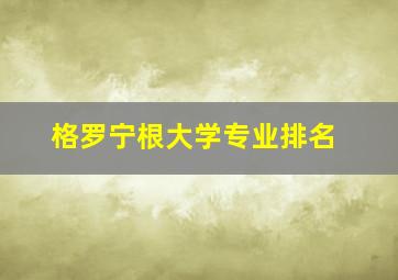 格罗宁根大学专业排名