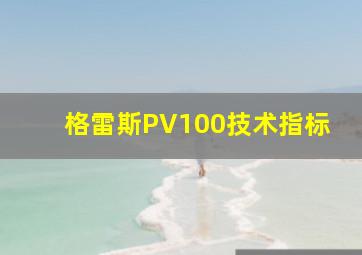 格雷斯PV100技术指标