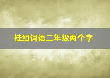 桂组词语二年级两个字